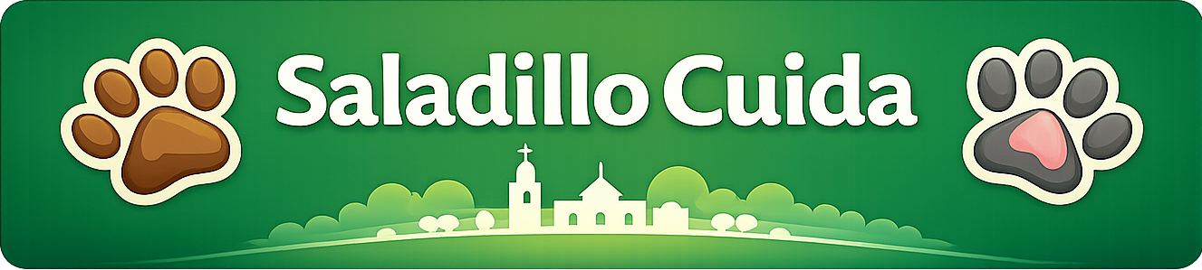 Saladillo Cuida